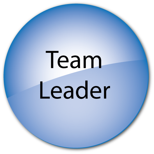 Team Leader - Specialist Leader In Education (529x530), Png Download