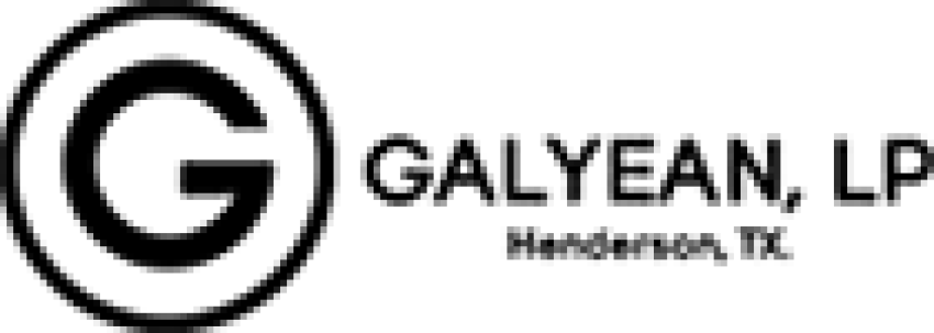 Kawasaki Of Caldwell - Elizabeth Arden Color Intrigue Eyeliner #03 Sage (850x303), Png Download