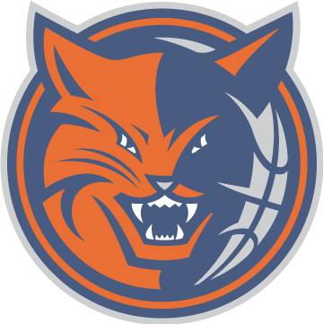 07-08 New Logos - Charlotte Bobcats Logo Png (360x361), Png Download
