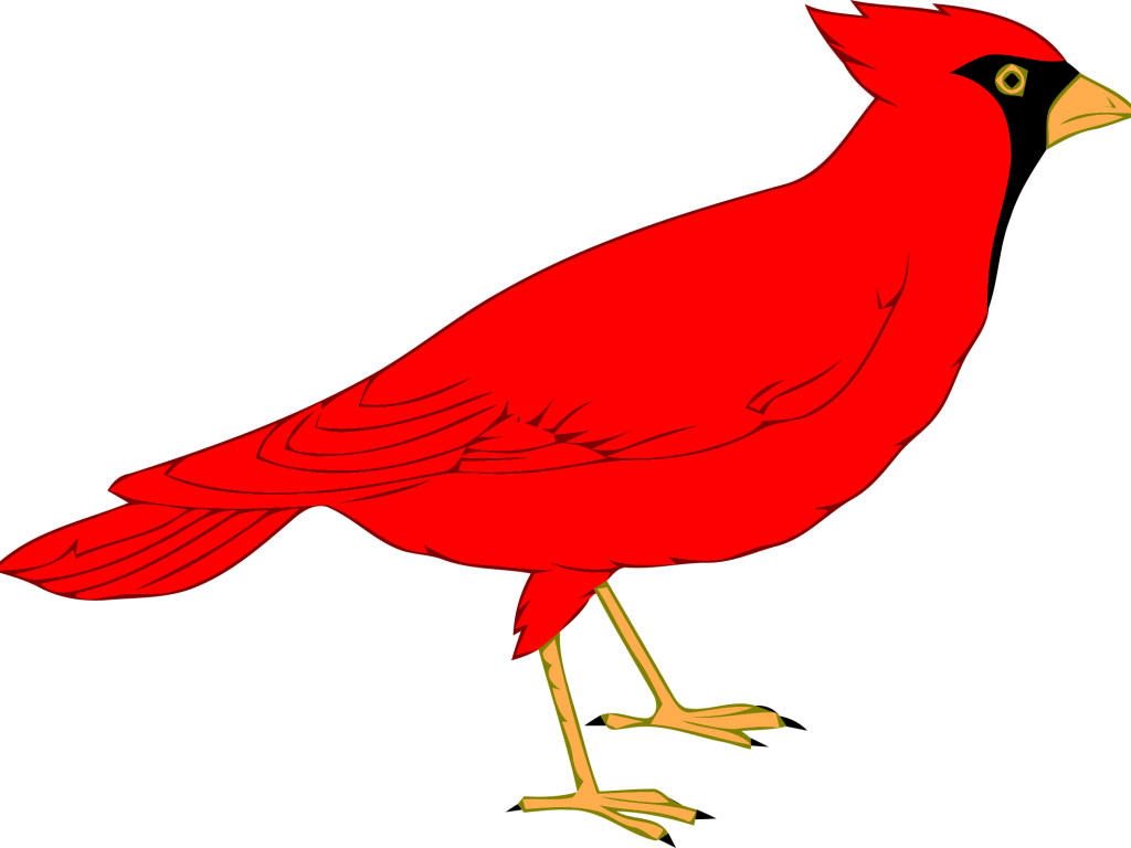 Northern Cardinal St - Custom Red Cardinal Throw Blanket (1024x768), Png Download
