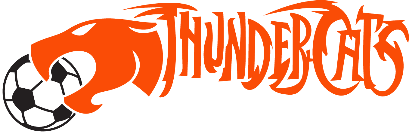 Thundercats-sc - Astra 1640040035 - Door Mat - Door Mat With Football (1359x446), Png Download