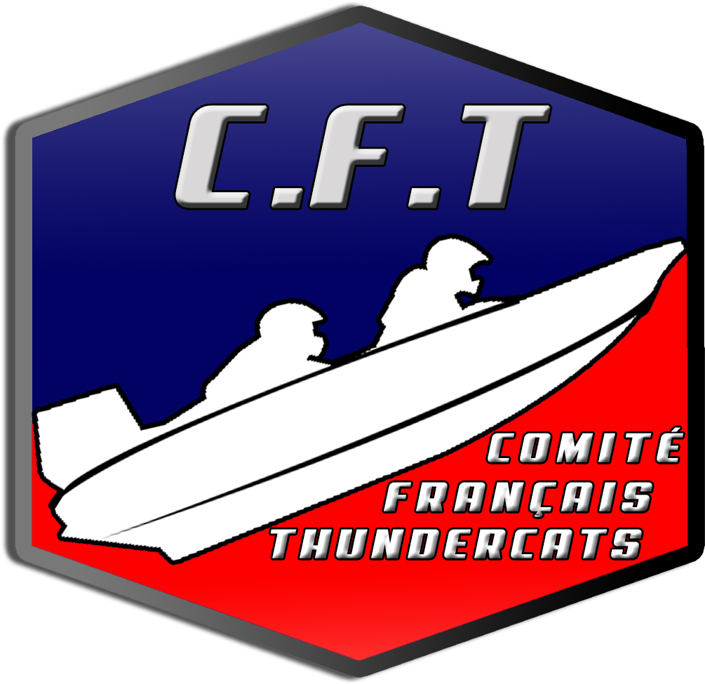 Comité Français Des Thundercats (1063x1004), Png Download