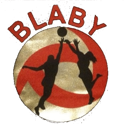 Blaby Netball Club Was Established In 2012 As A Back - North West Leicestershire (400x400), Png Download