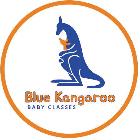 Blue Kangaroo Logo Web - Kent (500x500), Png Download