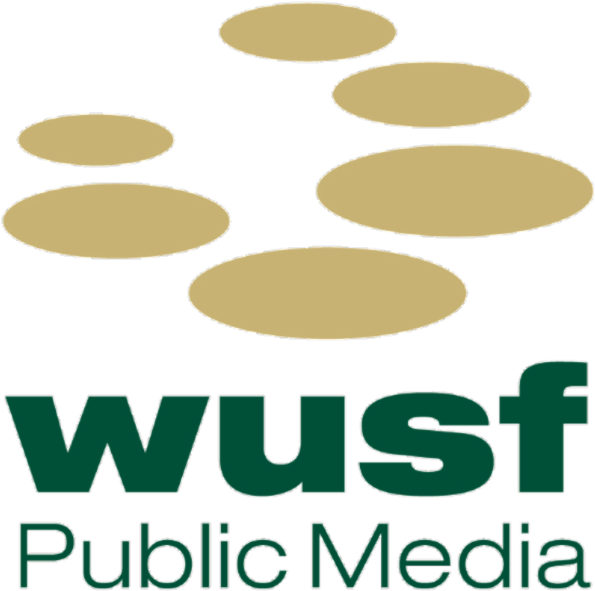 Tampa Bay Rays - Wusf Public Media (734x800), Png Download