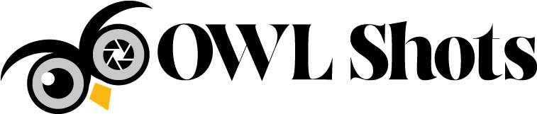 Home - Owl (800x199), Png Download