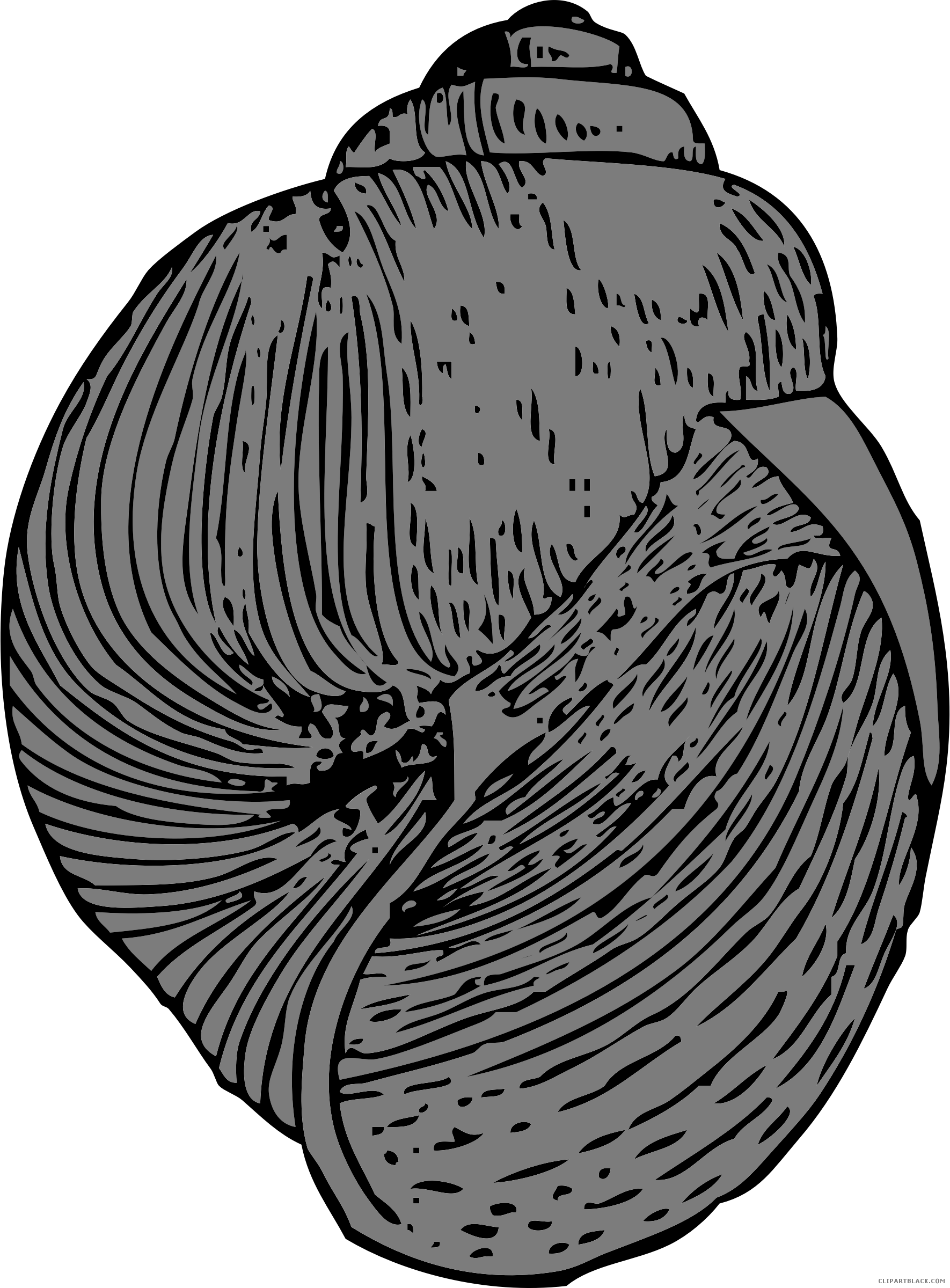 Snail Clipartblack Com Animal Free Black White - Keong Vektor (1770x2400), Png Download