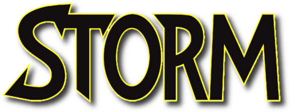 X Men Storm Logo (586x237), Png Download