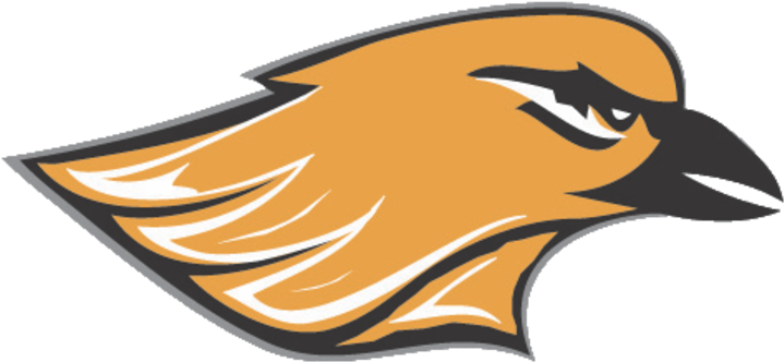 Hartford Union High School Oriole (720x398), Png Download