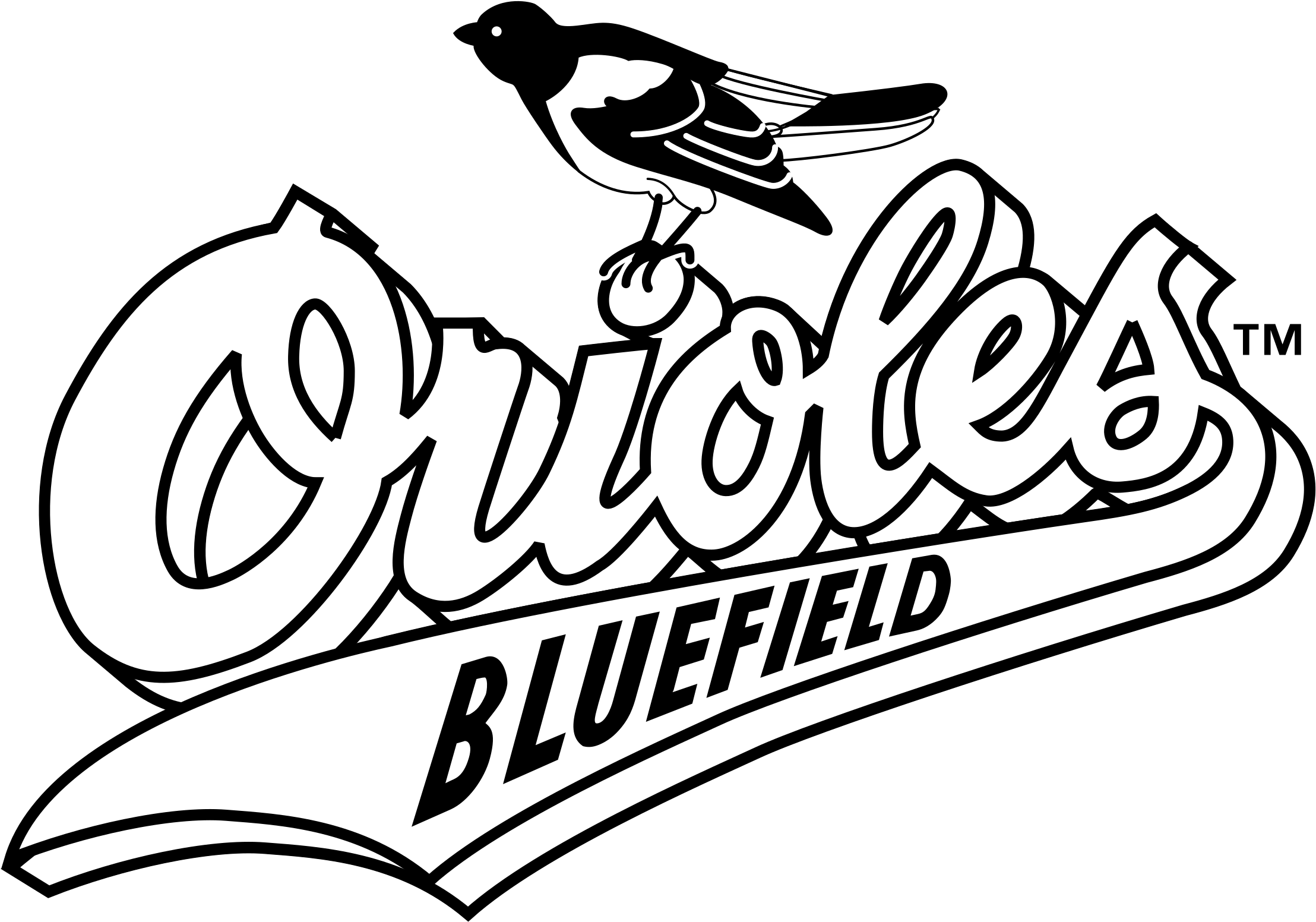 Bluefield Orioles Logo Png Transparent - Bluefield Orioles (2400x2400), Png Download