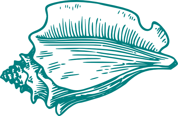 Teal Conch Shell Clip Art At Clker - Clip Art Conch Shell (600x391), Png Download