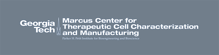 Http - //cellmanufacturing - Gatech - - Gatech - Edu - Georgia Institute Of Technology (762x192), Png Download