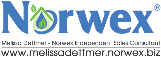 Norwex Independent Sales Consultant - Norwex Logo (700x450), Png Download