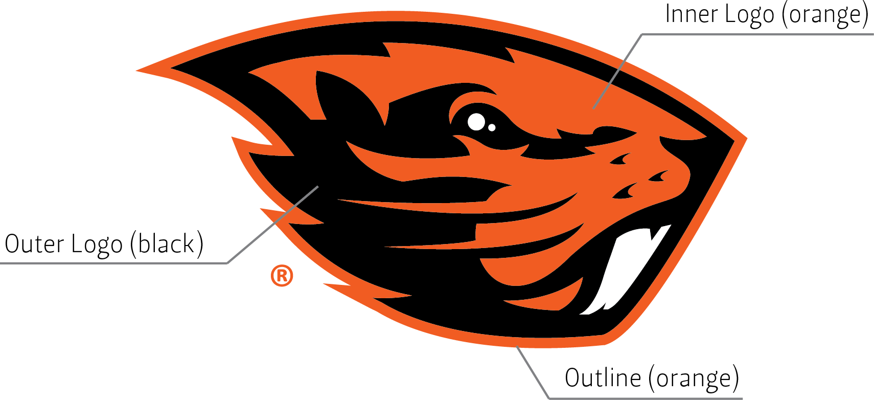 Beaver Logo - Oregon State University Football Logo (1710x782), Png Download