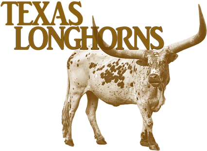 Click And Drag To Re-position The Image, If Desired - Texas Longhorns Football (600x450), Png Download