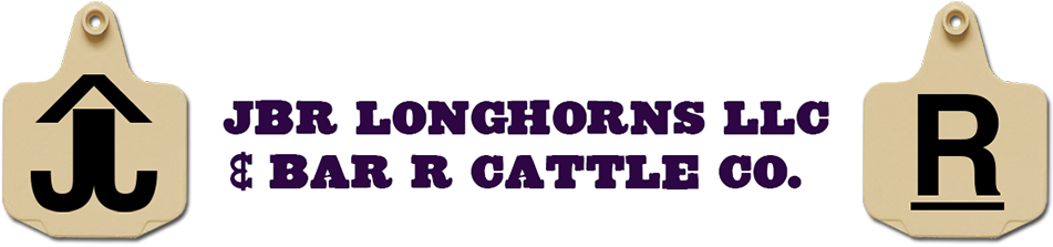 Home - Longhorns - Smallgoods - The Gourmet Farmer Deli Book (960x244), Png Download