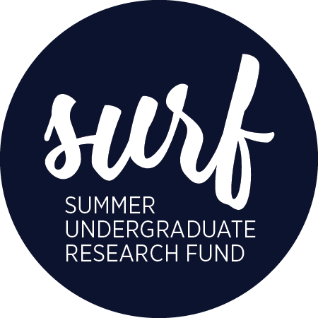 Surf Logo - Wix Icon (450x450), Png Download