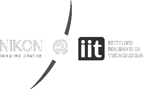 Istituto Italiano Di Tecnologia (480x298), Png Download