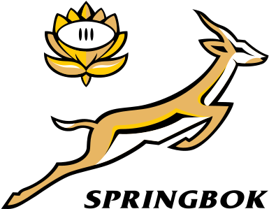 South Africa Springboks Rugby - All Blacks Vs Springboks (400x310), Png Download
