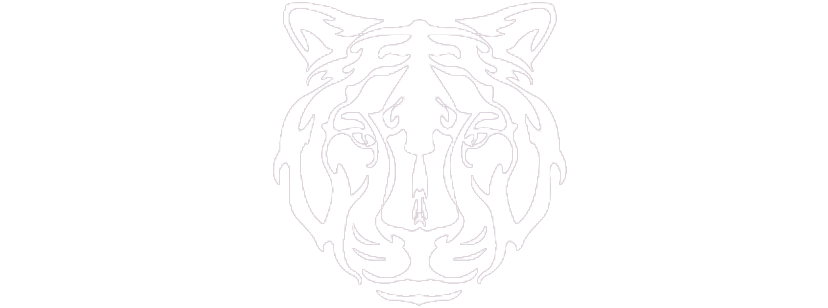 White Tiger - White Tiger Hd Logo (828x308), Png Download