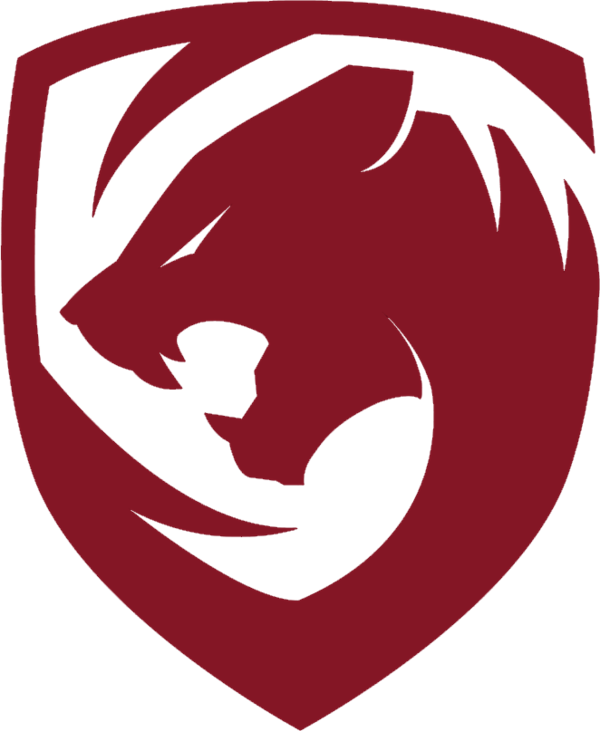 Team Tigers Dota 2 (600x731), Png Download