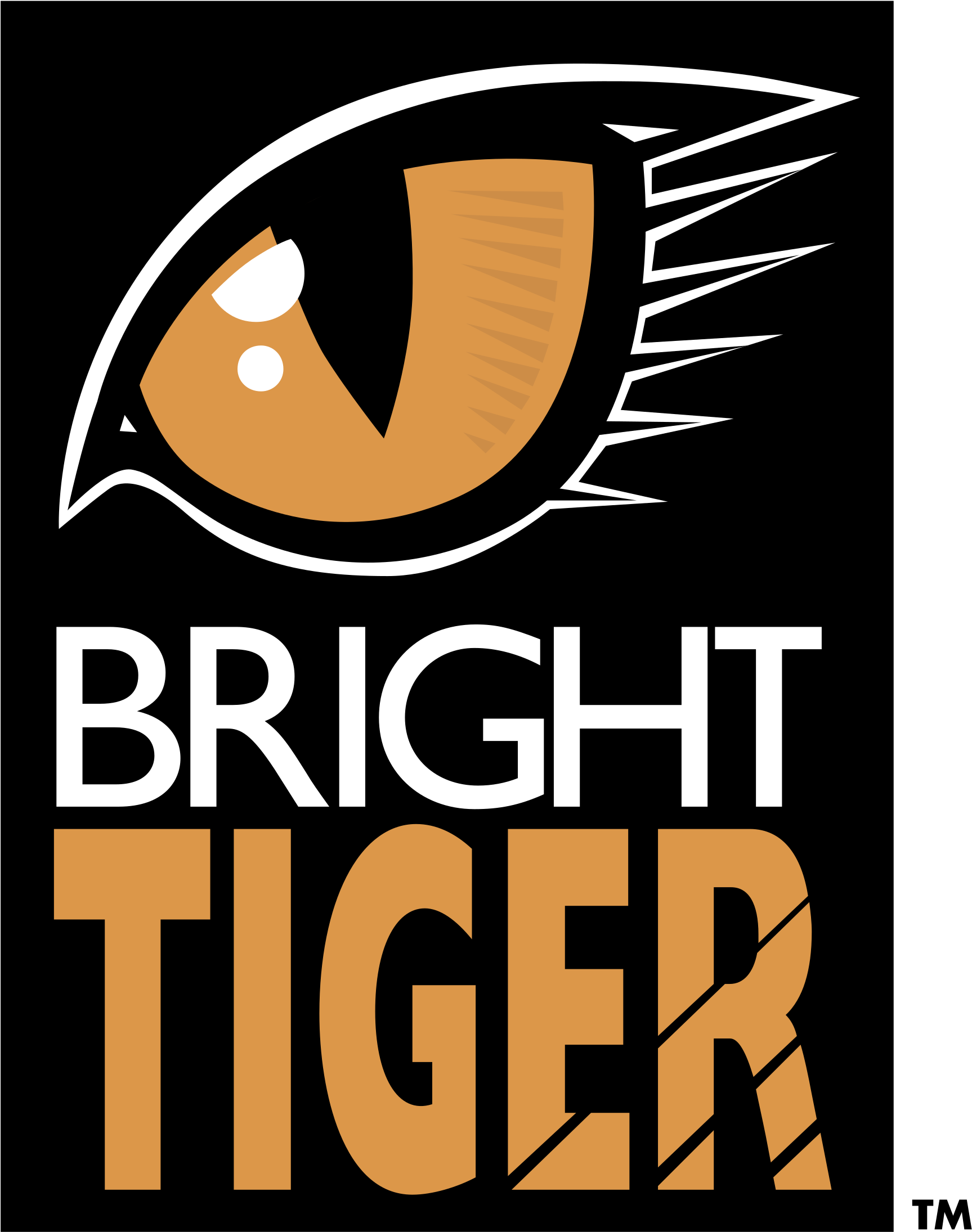 Bright Tiger Logo Png Transparent - Custom Bling N-dome Key Tag (2400x2400), Png Download
