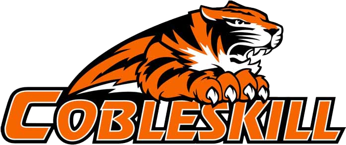 Suny Cobleskill Fighting Tigers Women's Basketball - Suny Cobleskill Tigers (698x698), Png Download