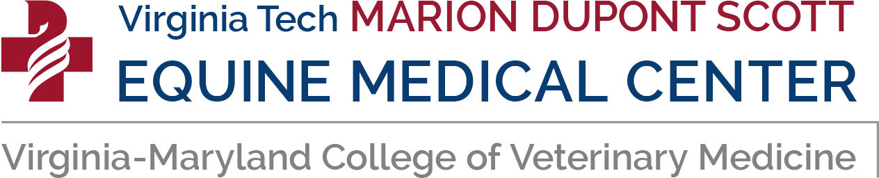 Marion Dupont Logo - Liceo Enrique Ballacey Cottereau (1264x256), Png Download