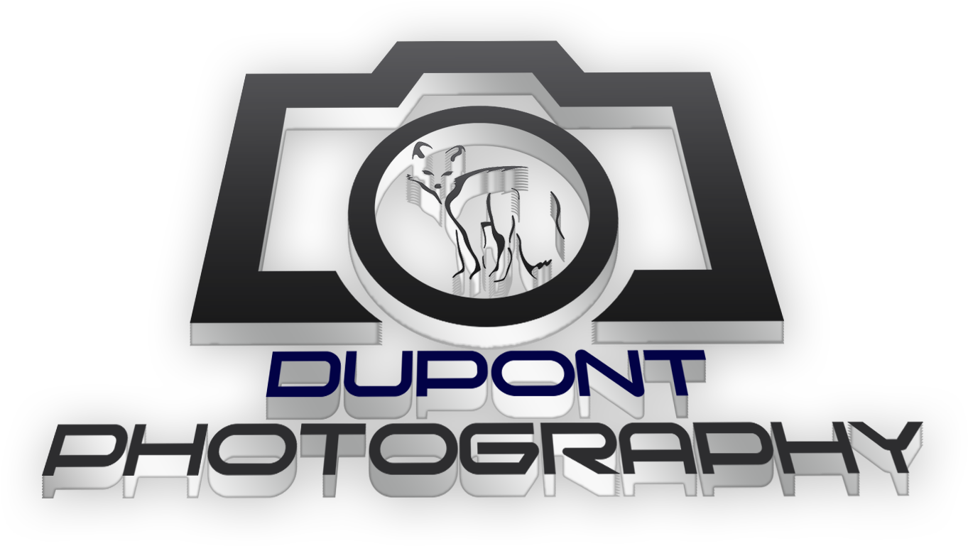 Emblem (2250x1200), Png Download