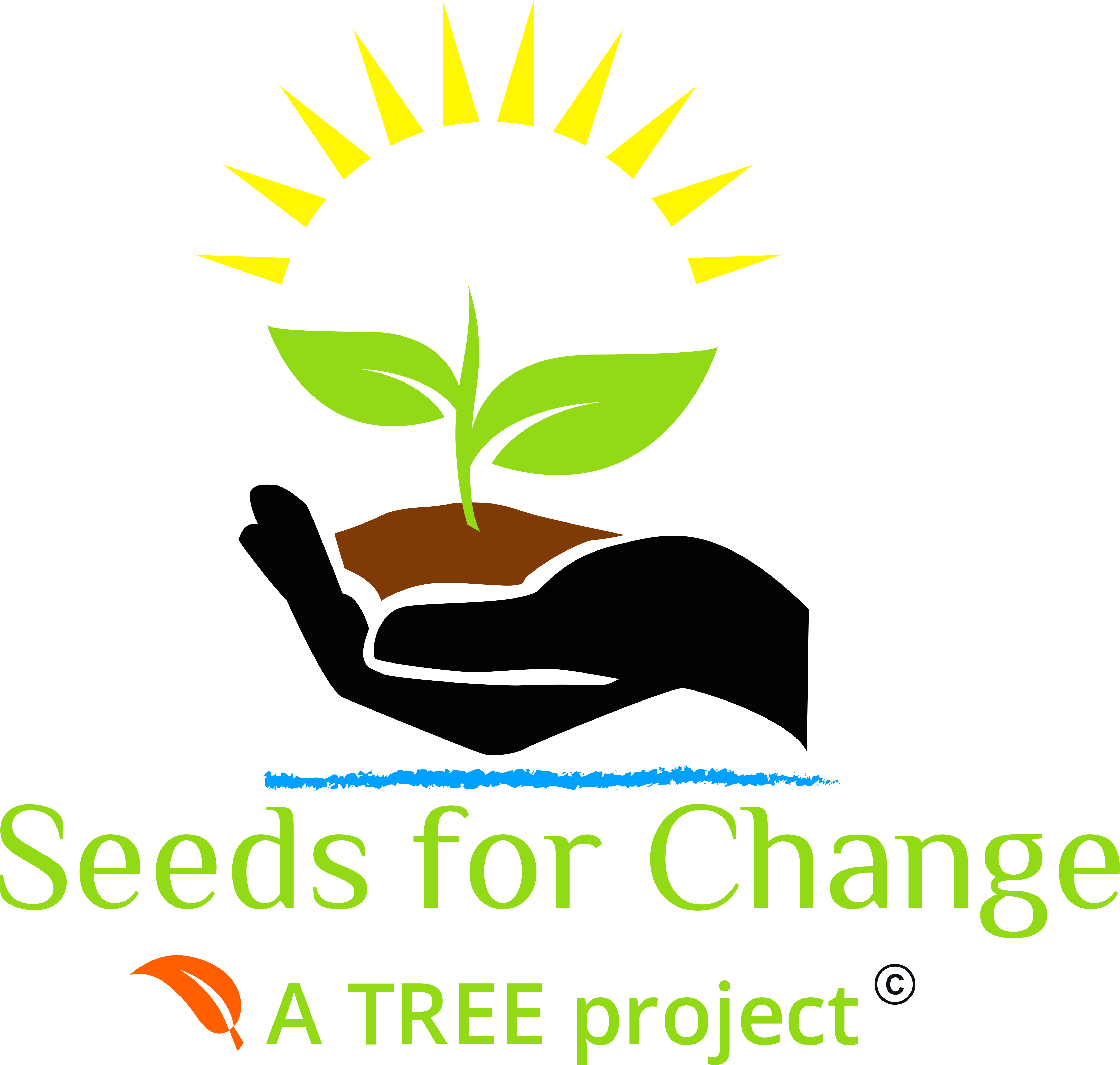 Logo - Seeds For Change (5000x4797), Png Download