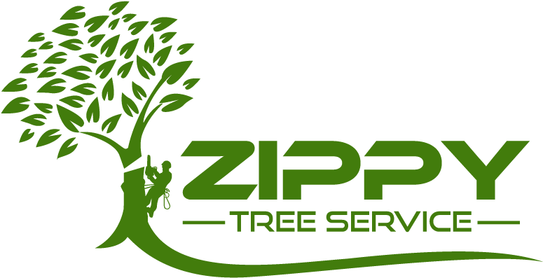 Logo (814x450), Png Download