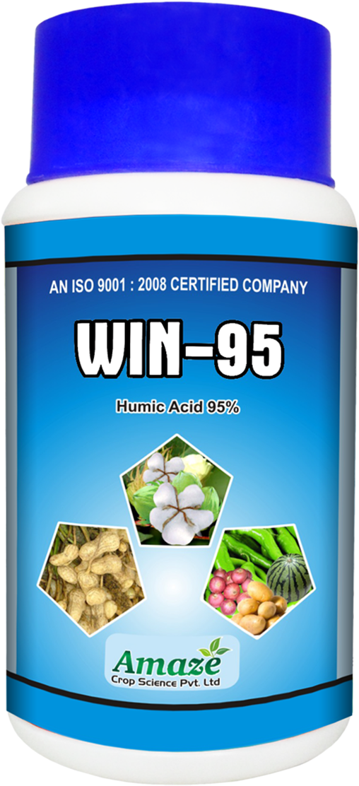 Win-95 - Private Limited Company (875x1122), Png Download