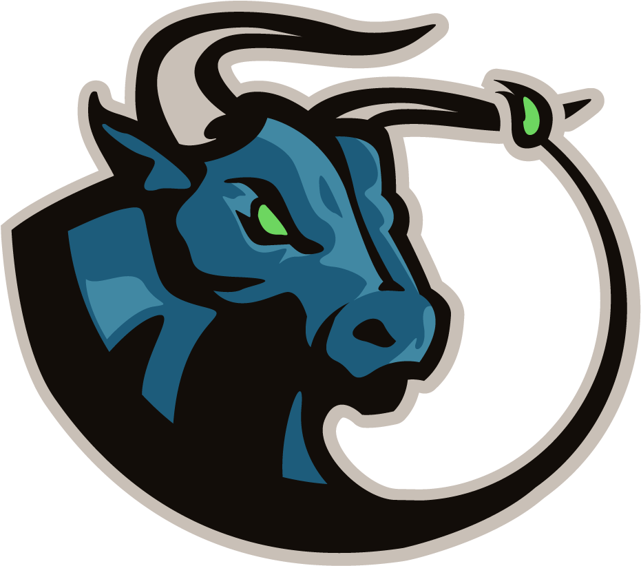 Logo Chicago Bulls European Softball Federation Sport - Logo (1024x1024), Png Download