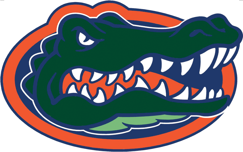 Gator Logo For Web - Florida State Basketball Logo (800x522), Png Download