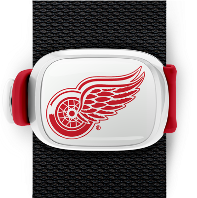 Detroit Red Wings Stwrap - Detroit Red Wings 8 Inch Logo Magnets (550x400), Png Download