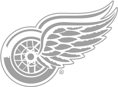 Some Of Our Hosts On The - Detroit Red Wings (532x300), Png Download