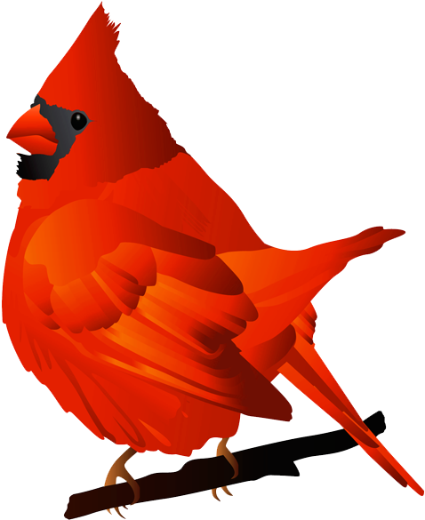 Vector Bird Cardinal - Red Bird Transparent Background (600x616), Png Download