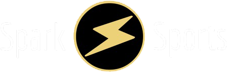 Welcome To Spark Sports - Nynäshamns Ångbryggeri Ab (704x233), Png Download