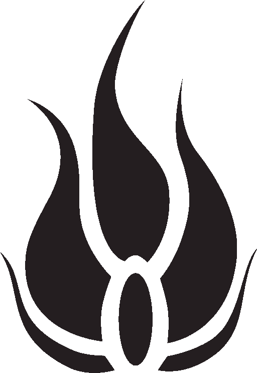 Blake Emblem Trans - Rwby Blake Emblem (800x800), Png Download