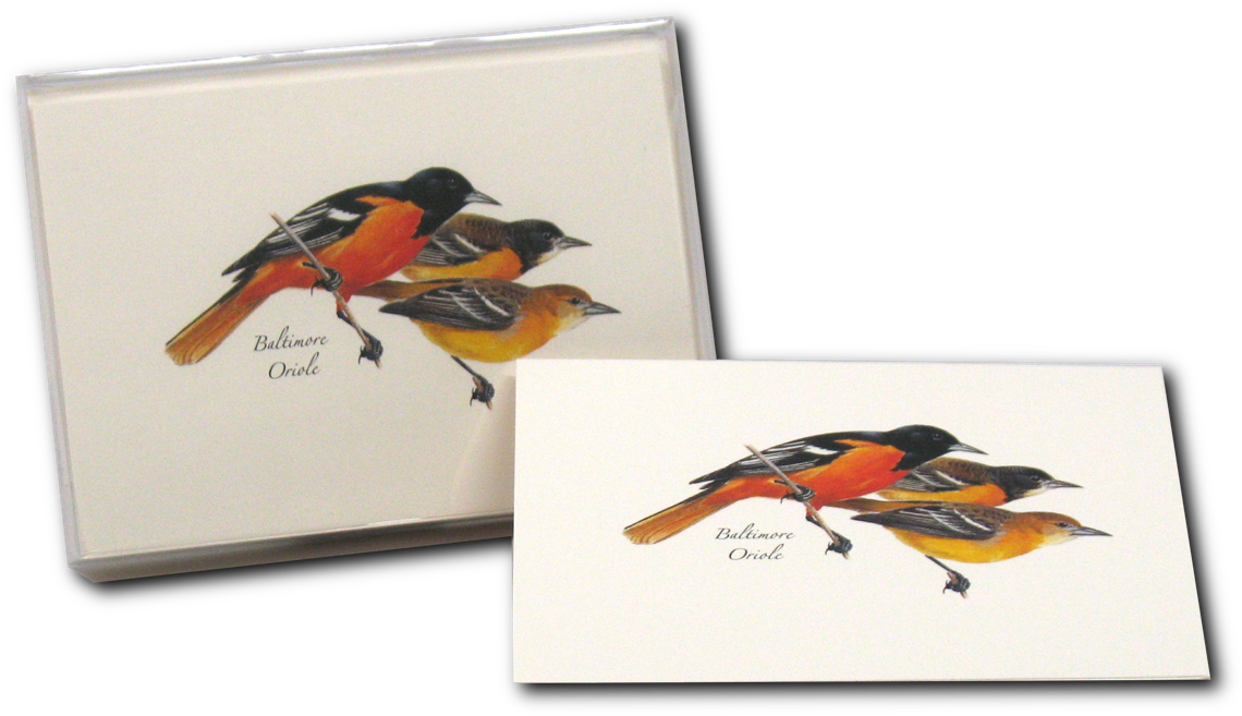 Shopping Cart -  -  - Field Guide Art Of Roger Tory Peterson (1200x1200), Png Download