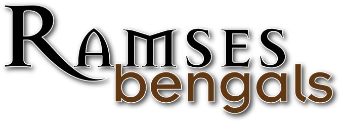 Ramesses Ii (681x244), Png Download