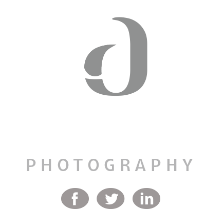 Bd Creative Photography - Photography (442x487), Png Download