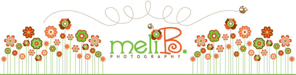 Meli B Photography, Llc Miami Newborn Photographer - Meli B. Photography (970x248), Png Download