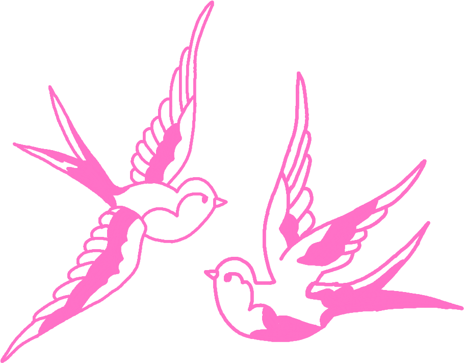 Overlay Bird Pink (1000x1000), Png Download
