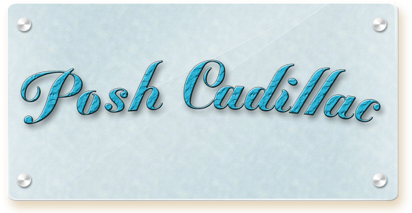 Welcome To Posh Cadillac Online Boutique Store - Fashion (616x300), Png Download