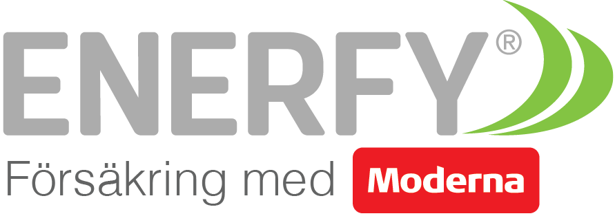 Our Products - Synergy University Dubai Logo Png (891x314), Png Download