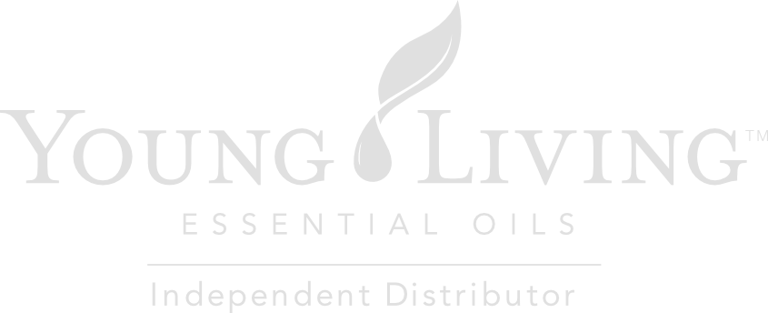 We Furiously Pursue A Life Of Wellness And Abundance - Ingo By Helen Dunmore (845x344), Png Download