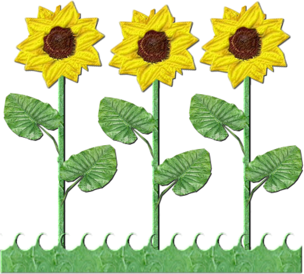 Sunflower Clipart Flower Gardening - Sunflower Tree Clipart (600x541), Png Download