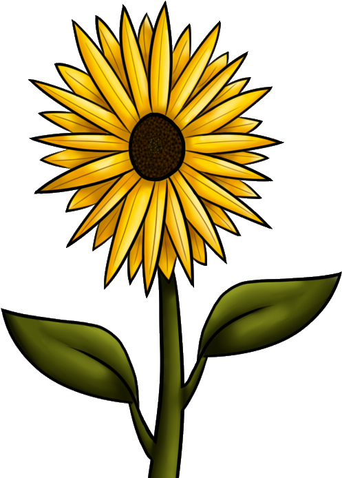 10 Best Images Of Fall Sunflower Clip Art - Sun Flowers Clip Art (576x720), Png Download