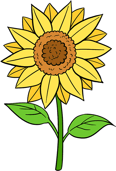 Clip Transparent Stock How To Draw A Sunflower Easy - Sunflower Easy Flower Drawing (678x600), Png Download